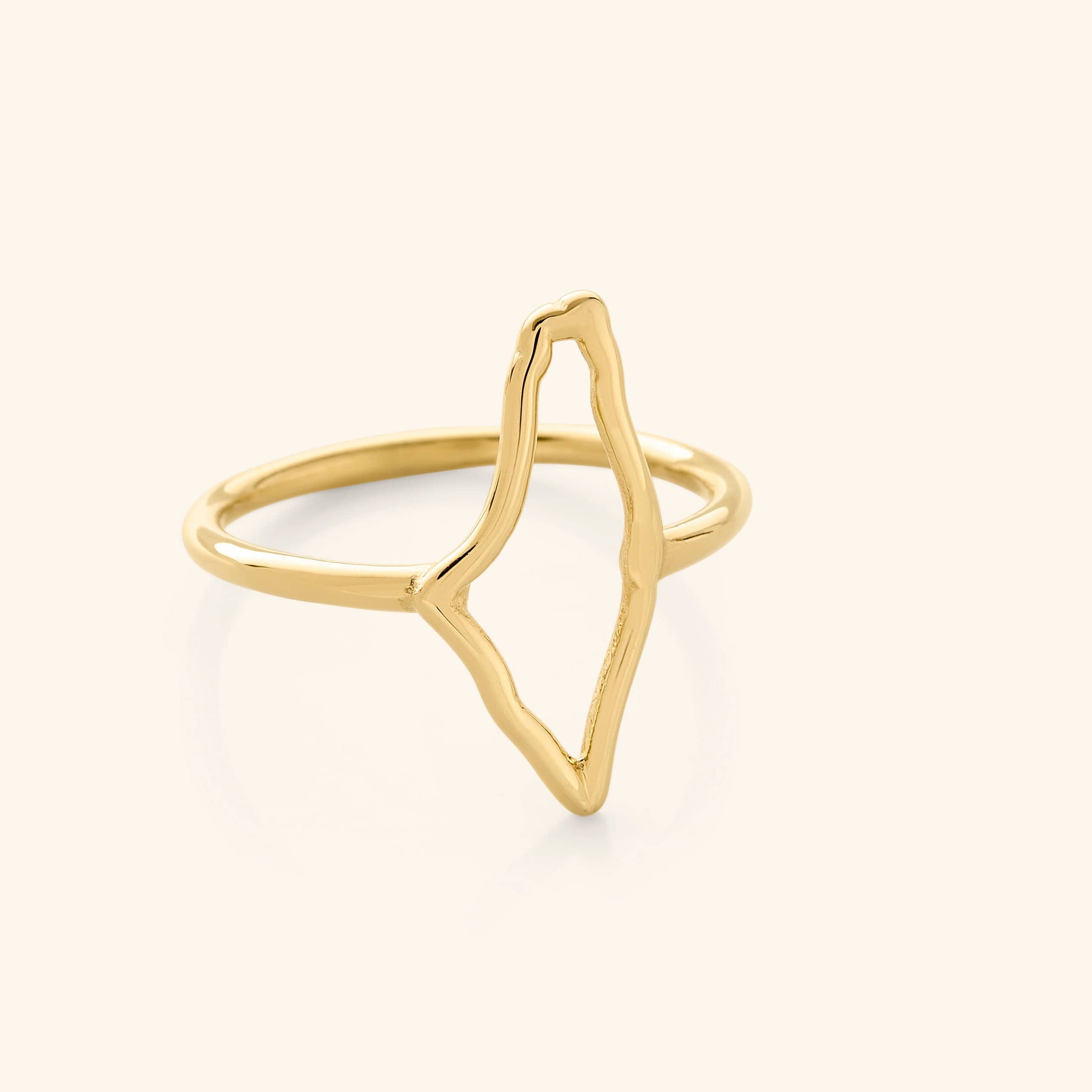 Solid Silver Palestine Ring