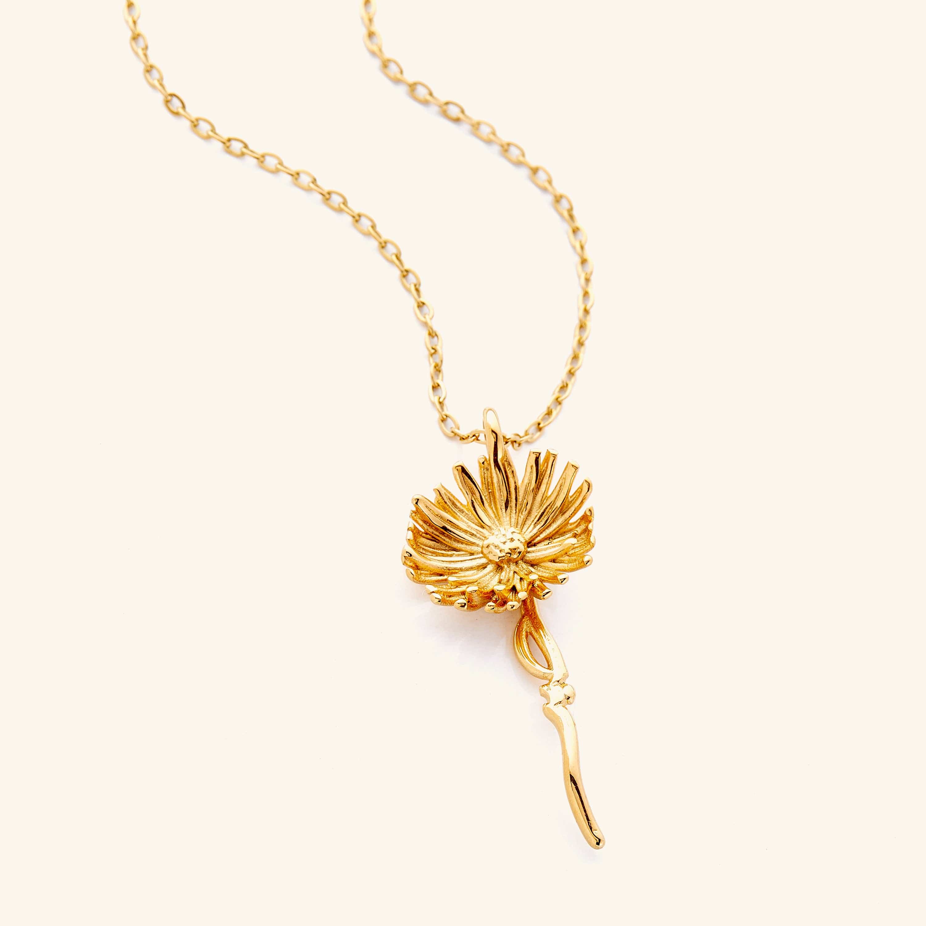 ‘Patience' Sterling Silver Aster Pendant Necklace